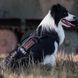 Шлея-жилет OneTigris Comet&rsquo;s Tail Dog Harness для собак 2000000161372 фото 6